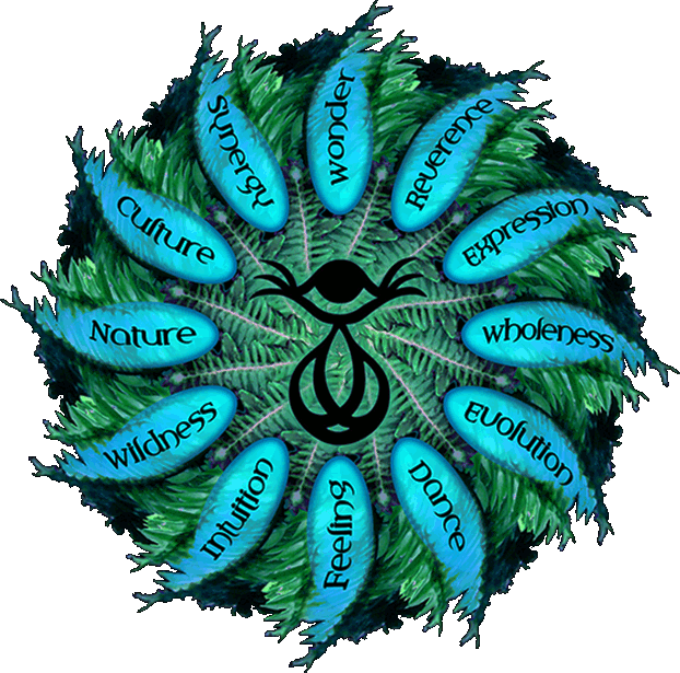 Wonderfeel's Values: Wonder Reverence Expression Wholeness 