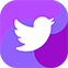 Find us on Twitter