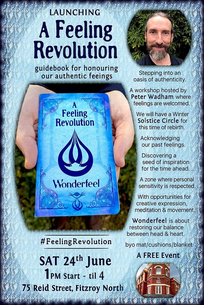A Feeling Revolution by Wonderfeel a guide for acceptiing our feelings.